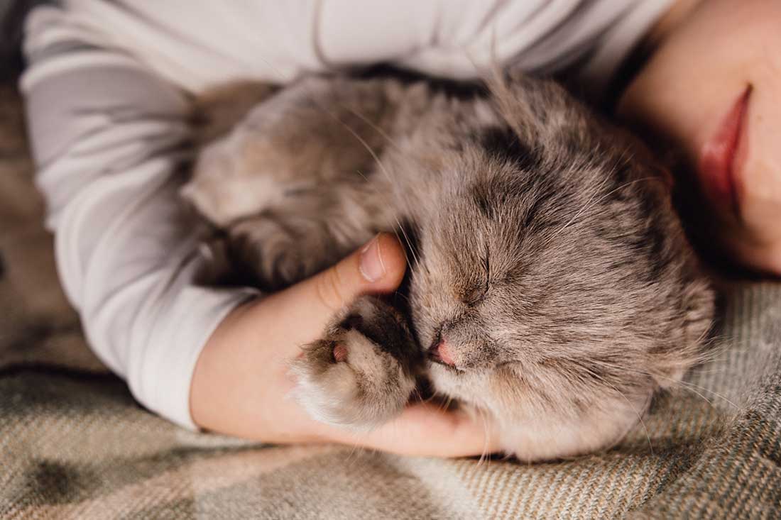 pourquoi votre chat mord pendant dormez